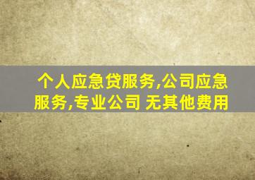 个人应急贷服务,公司应急服务,专业公司 无其他费用